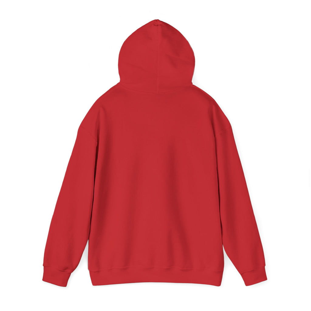 Cozy Cottage Chicken Hoodie — 'In with the Chicks' Cute Farmhouse Pullover