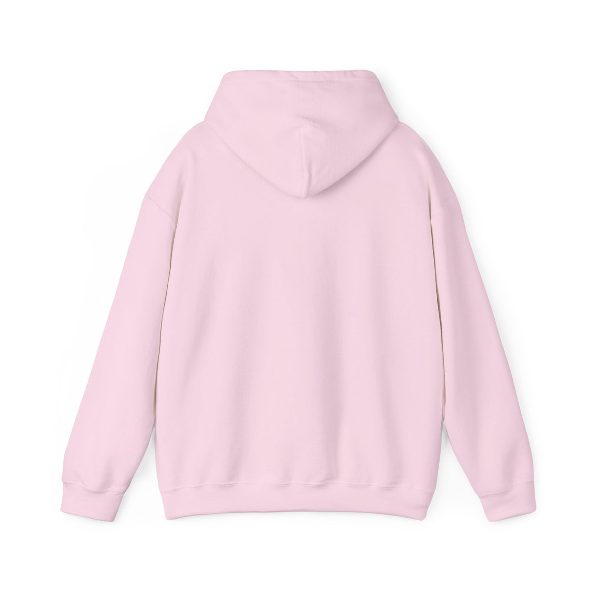 Cozy Cottage Chicken Hoodie — 'In with the Chicks' Cute Farmhouse Pullover