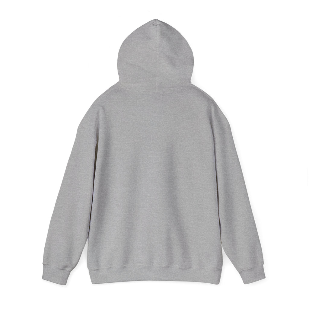 Cozy Cottage Chicken Hoodie — 'In with the Chicks' Cute Farmhouse Pullover